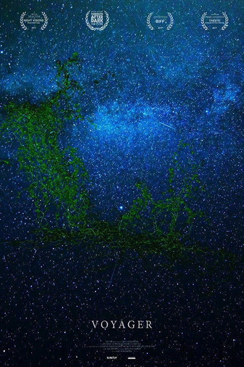 Voyager Poster