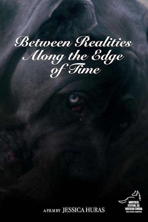 Between Realities Along the Edge of Time Poster