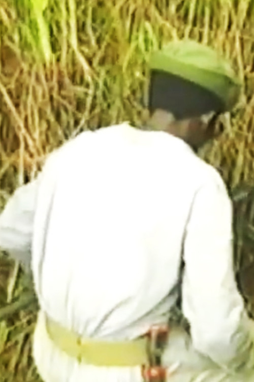 The Sun Still Shines Poster