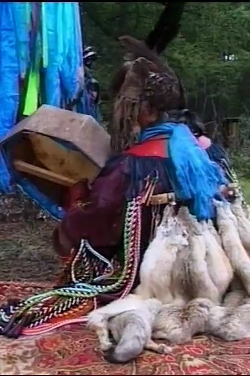 Calls for Grace Poster