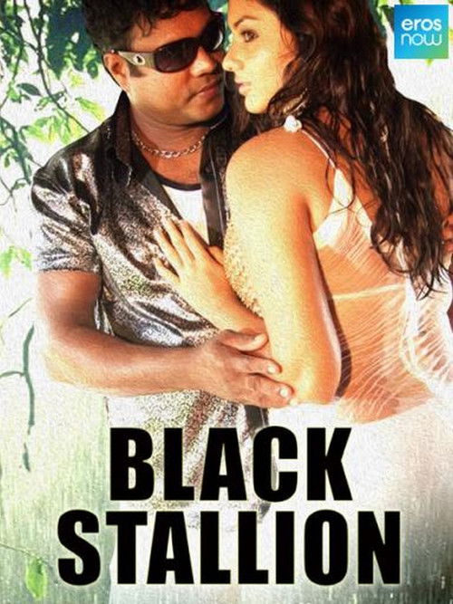 Black Stallion Poster