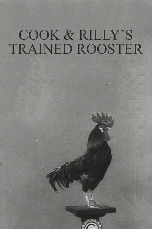 Cook & Rilly's Trained Rooster Poster