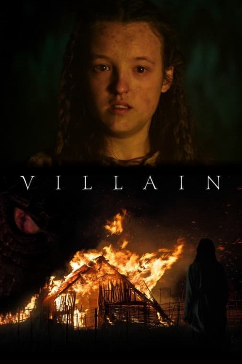 Villain Poster