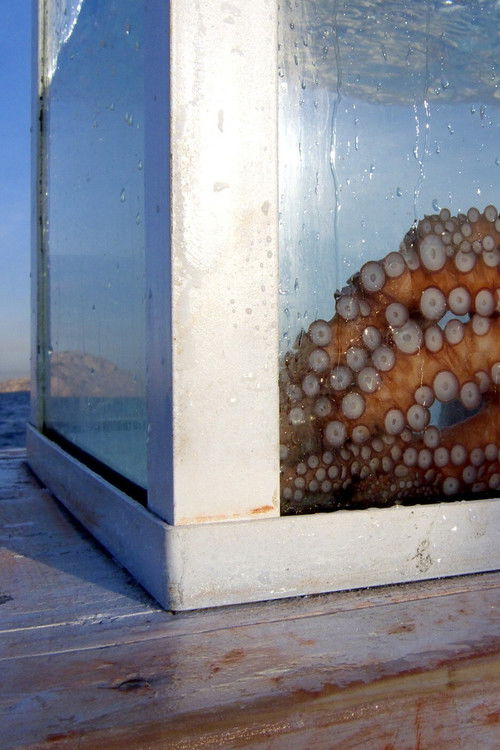 Outlandish: Strange Foreign Bodies Poster