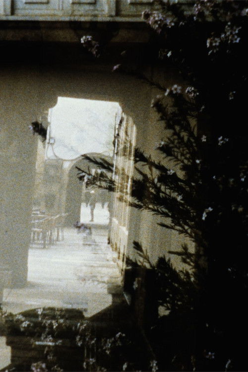 Apuntes para unha psicoxeografía variable Poster