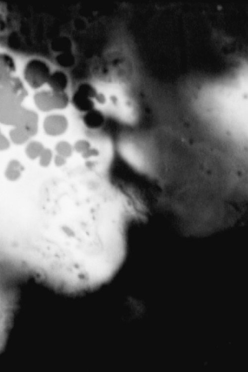 Digression/Degression Poster