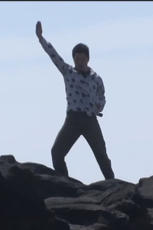 The Adventures of Minoru Shiraishi Poster