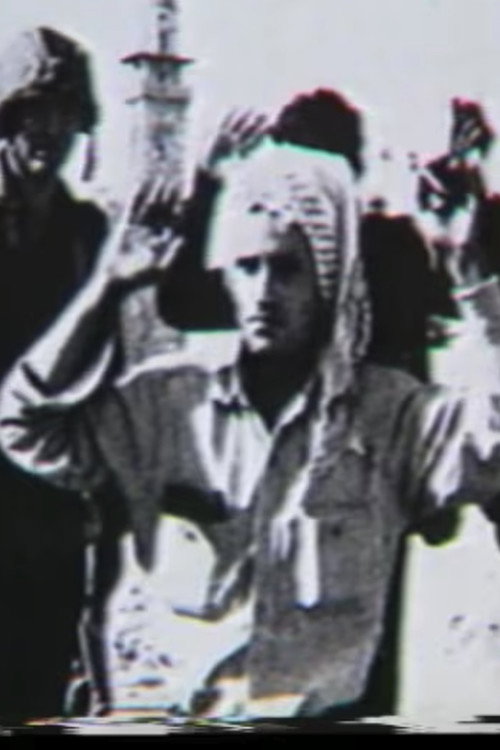 Under Siege Palestine in the US Media Poster
