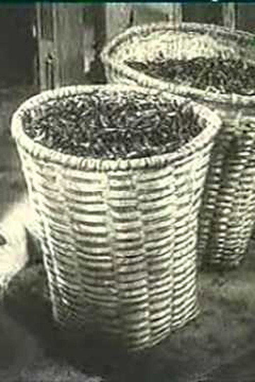 Ali Chahvadze's Tea Poster