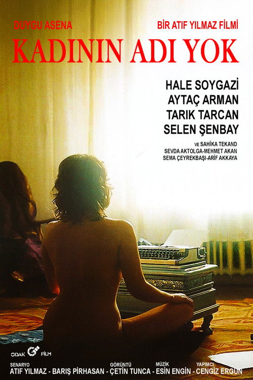 The Woman Has No Name Poster