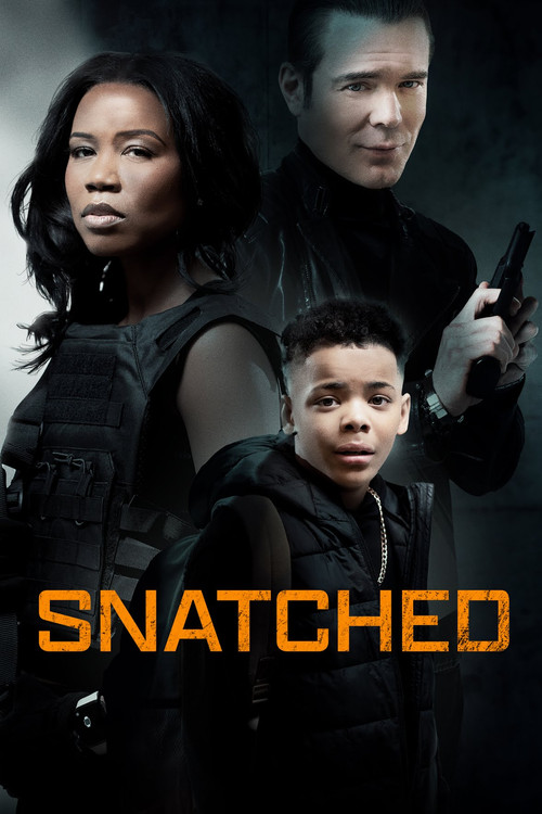 Snatched Poster