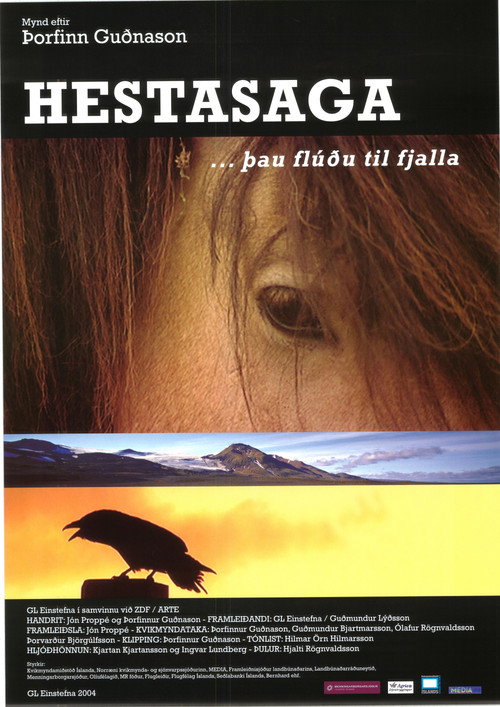 Running With the Herd Poster