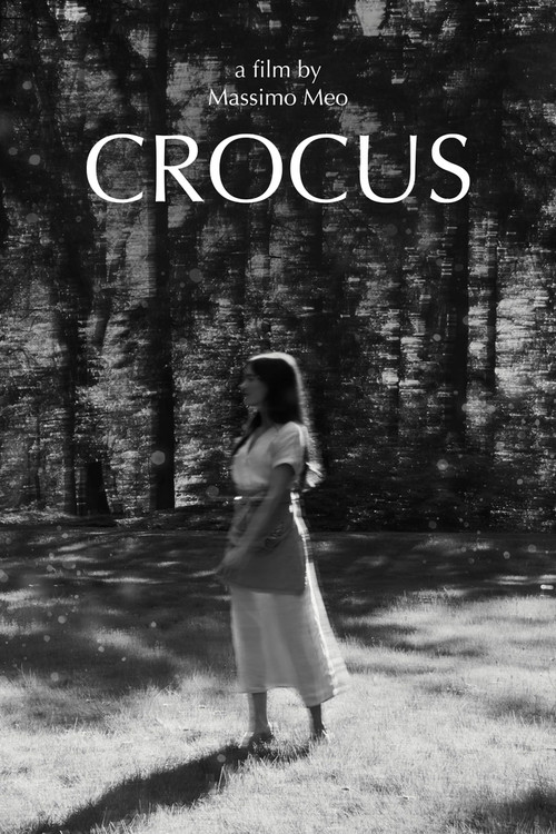 Crocus Poster