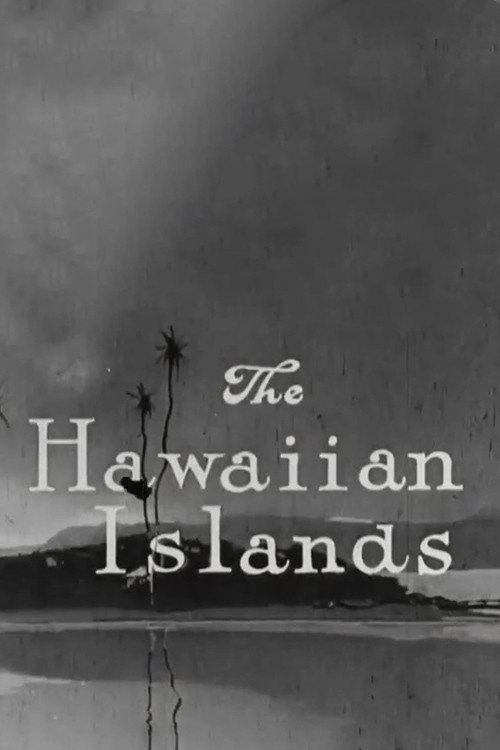 The Hawaiian Islands Poster
