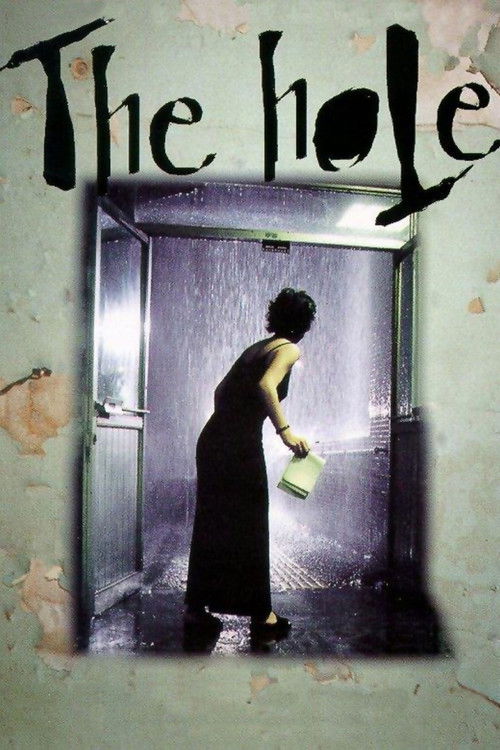 The Hole Poster