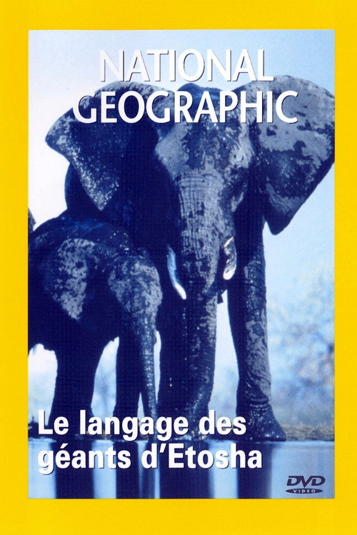 Elephants : Giants of Etosha Poster