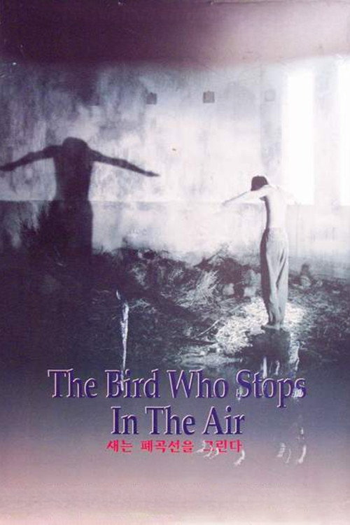 The Bird Who Stops in the Air Poster