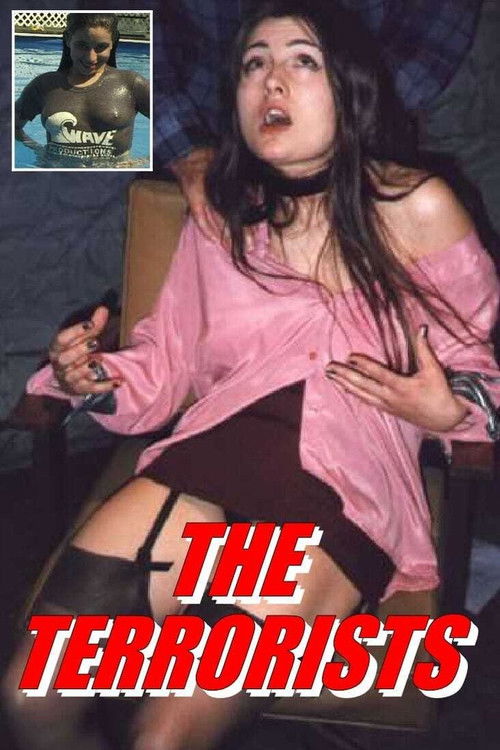 The Terrorists Poster