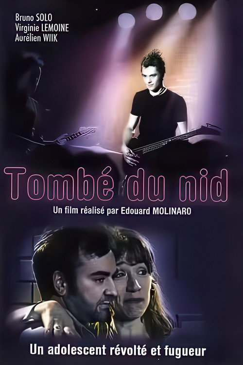 Tombé du nid Poster