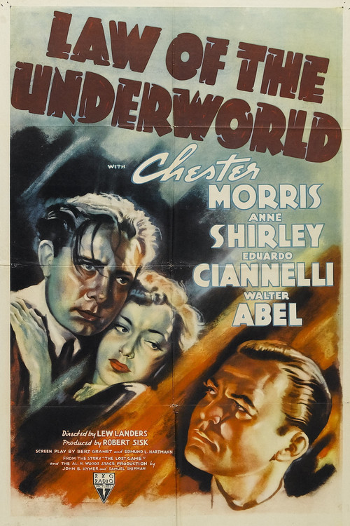 Law of the Underworld Poster