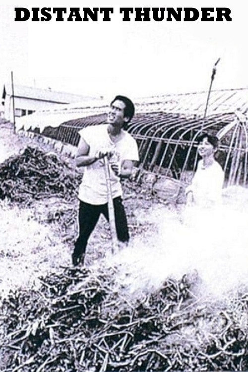 Distant Thunder Poster