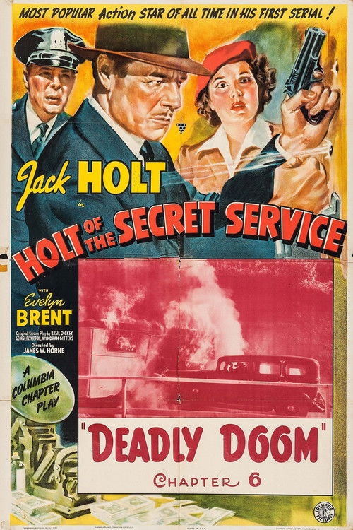 Holt of the Secret Service Poster
