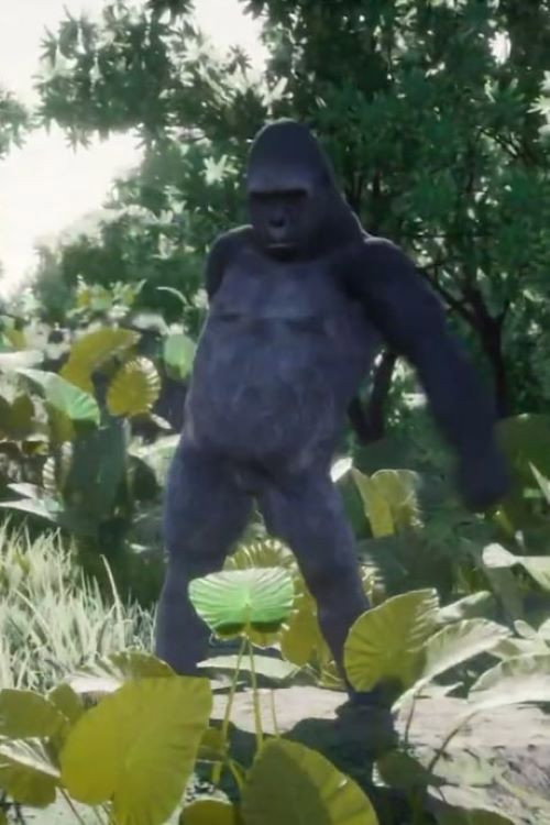 渚のブラジリアン Poster