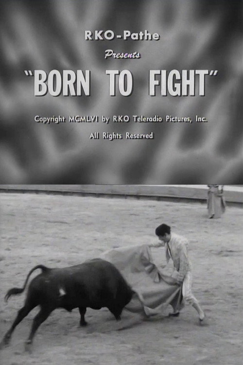 Born to Fight Poster