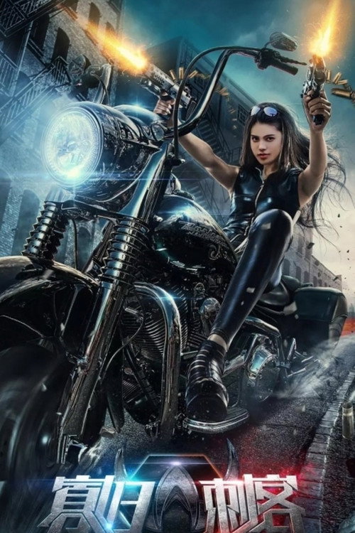 The Widows Assassin Poster