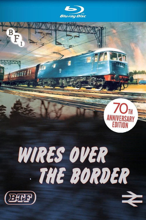 Wires Over the Border Poster