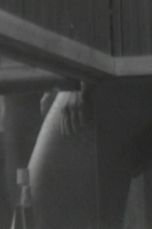 Sauna View Poster