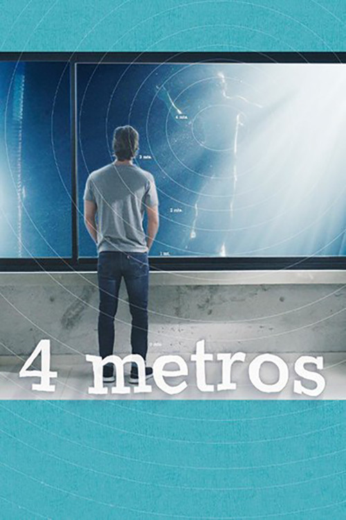 4 Meters Poster