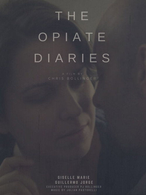 The Opiate Diaries Poster