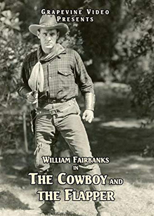 The Cowboy and the Flapper Poster