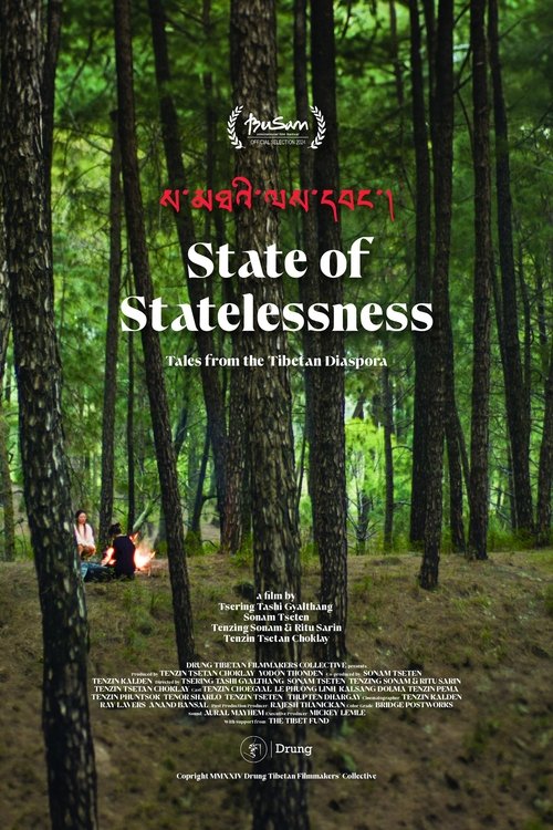 State of Statelessness Poster