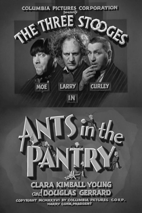 Ants in the Pantry Poster