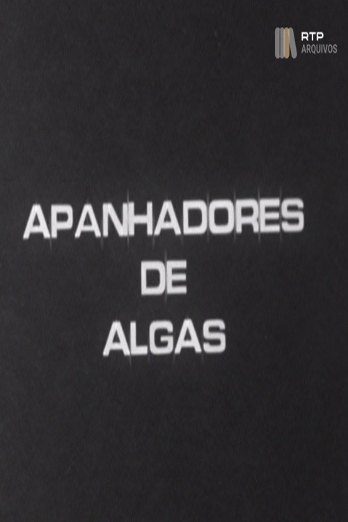 Apanhadores de Algas Poster