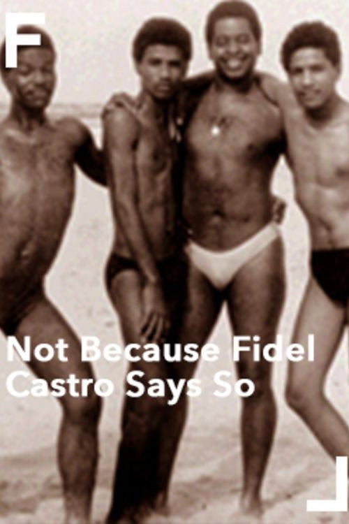 Not Because Fidel Castro Says So Poster