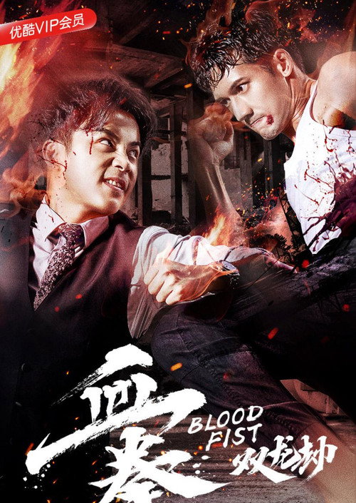 血拳之双龙劫 Poster