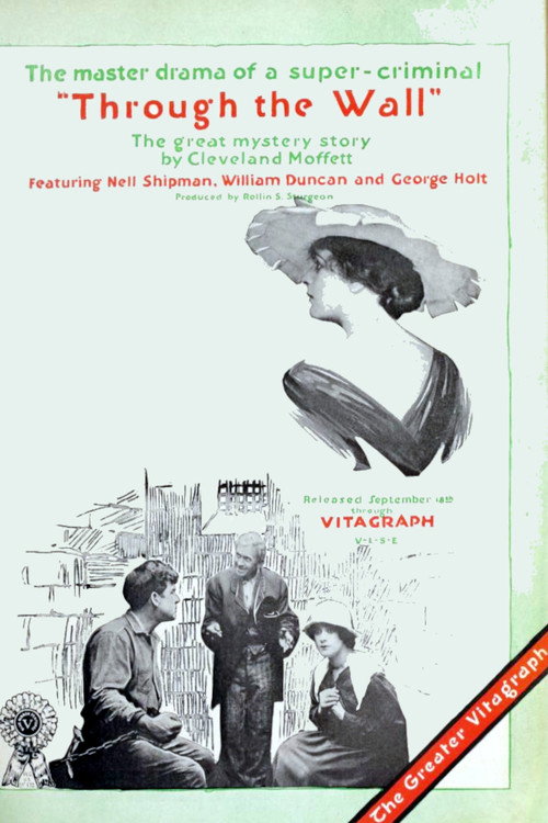 Through the Wall Poster