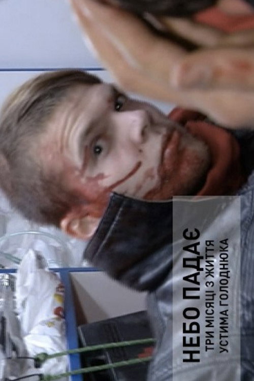 The Sky is Falling: Three Months in the Life of Ustym Holodnyuk Poster