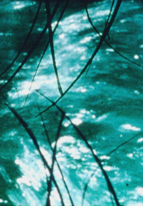 The Time Slit Poster