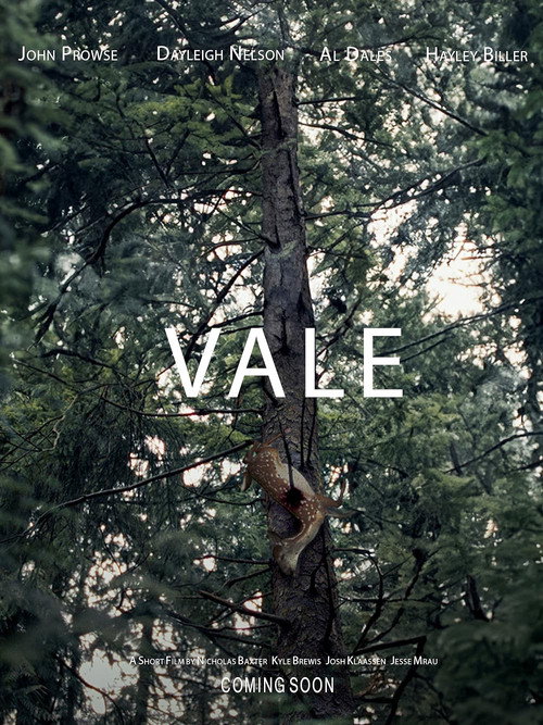 Vale Poster