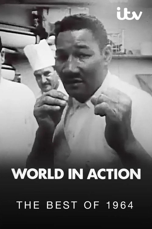 The Best of 1964 Poster