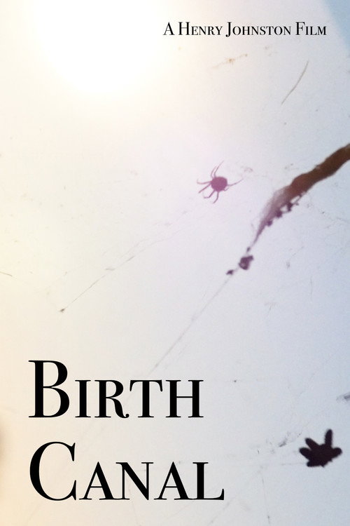 Birth Canal Poster