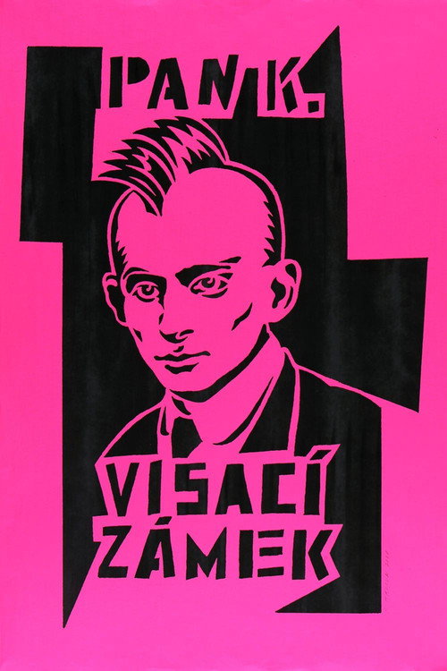 Visaci zamek 1982 - 2007 Poster