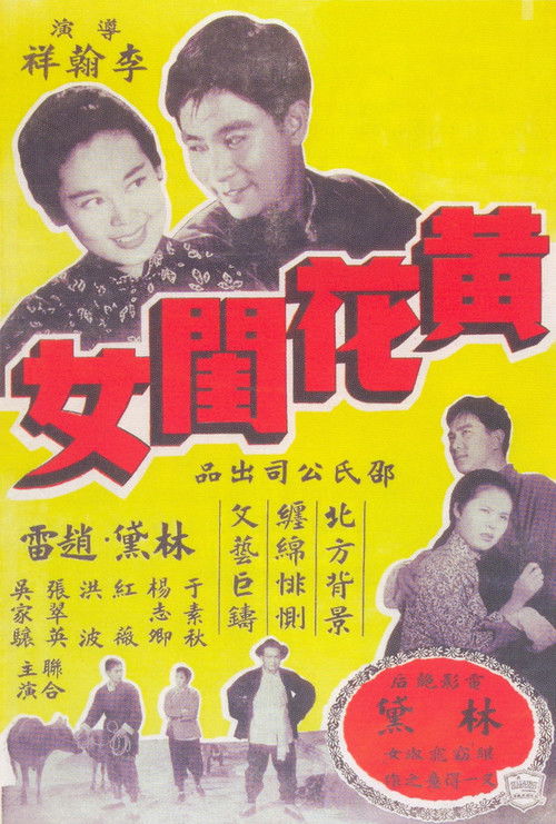 Lady in Distress Poster