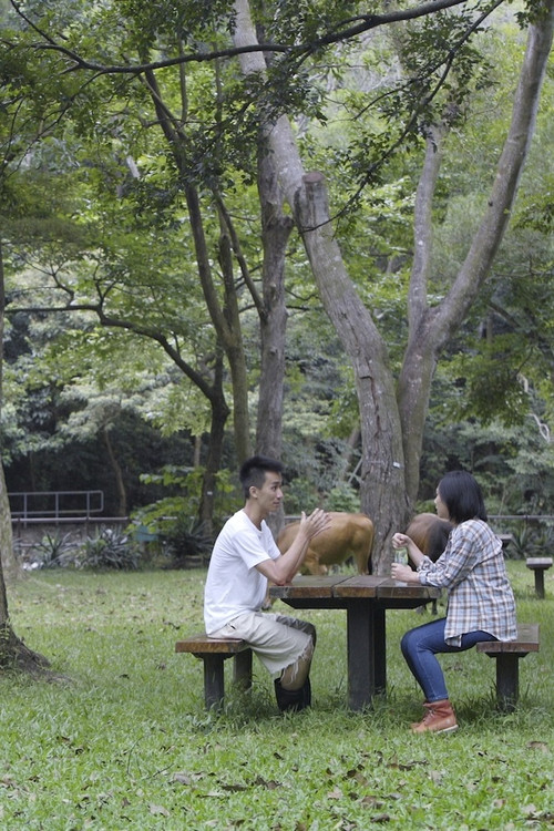 The Cow Caretaker Poster