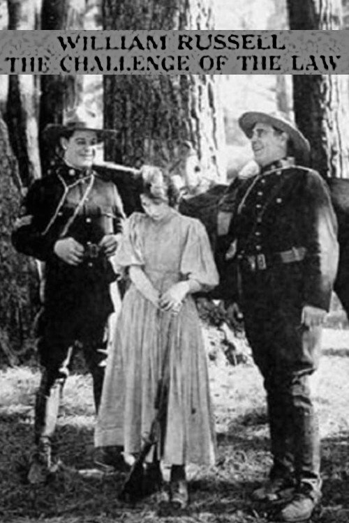 The Challenge of the Law Poster