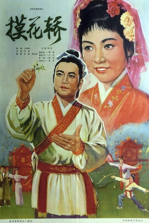 摸花轿 Poster